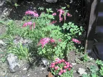 560784_397646656923148_1198140675_n.webp