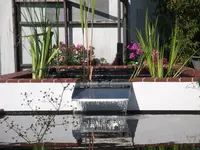 DSCF2174.webp