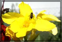 comp_DSC03285.webp