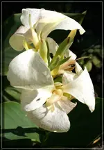 comp_DSC03293.webp