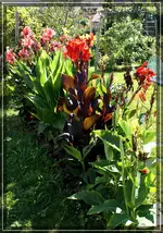 comp_DSC03292.webp