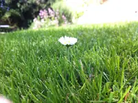 IMG_0717.webp