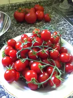 IMG_0765.webp