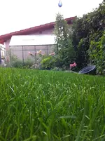 IMG_0781.webp