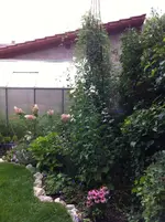 IMG_0783.webp