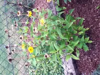 Foto1.webp