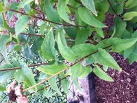 Foto3.webp