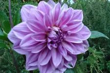 6025.webp