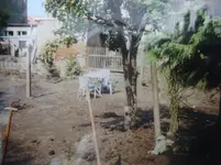 11.webp