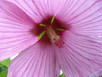 IMGP5641.webp