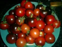 CIMG0015.webp
