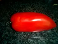CIMG0013.webp