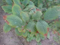DSC00004.webp
