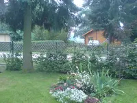 DSC00006.webp