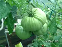 k-BILD1394.webp