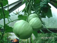 k-BILD1395.webp
