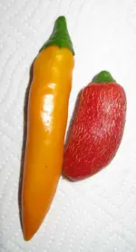 Pfefferoni- Japalero und bulgarische Karotte.webp