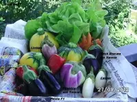 BILD0695.webp
