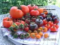 BILD0697.webp