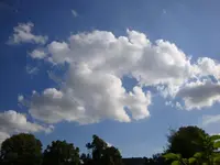 DSC09948.webp