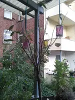 2012-08-27 18.36.53.webp