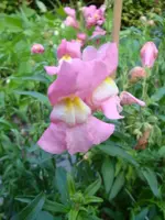 DSC09921.webp