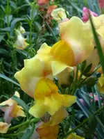 DSC09924.webp