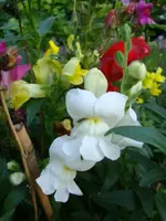 DSC09922.webp