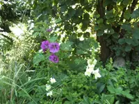 BILD1672.webp