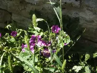 BILD1673.webp