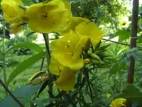 BILD1564.webp