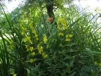 BILD1567.webp