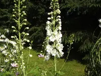 BILD1574.webp