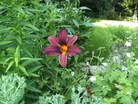 BILD1588.webp
