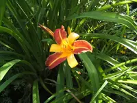 BILD1595.webp