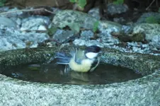 2012_0827Sommer0049.webp