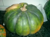 CIMG0018.webp