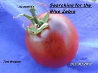 BILD0723.webp