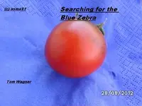 BILD0726.webp