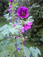 28-08-12_2000.webp