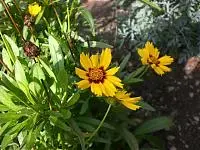 Garten%20im%20Oktober%20002[1].webp