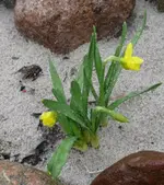 P1040106_534_600.webp