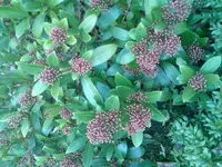 Bild013.webp