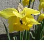 29.03.09 029_A.webp