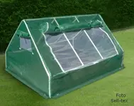 Greenhouse_1122[1].webp