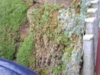 IMAG0002.webp