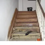 neu 009_A.webp
