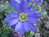 CIMG5157.webp