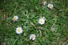 DSC_7997.webp