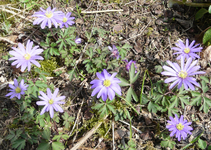 P1030431.webp